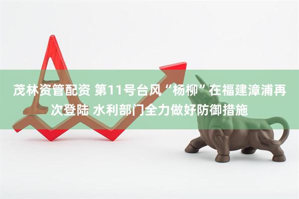 茂林资管配资 第11号台风“杨柳”在福建漳浦再次登陆 水利部门全力做好防御措施