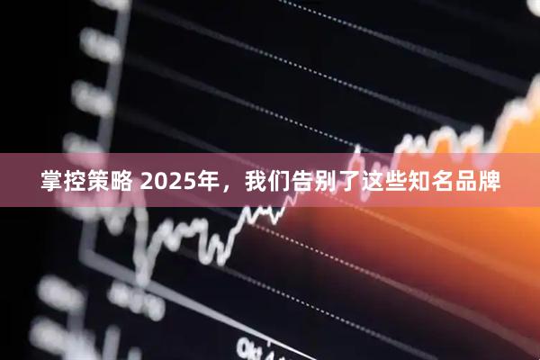 掌控策略 2025年，我们告别了这些知名品牌